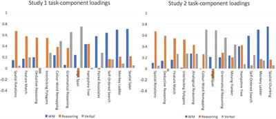 A Large-Scale, Cross-Sectional Investigation Into the Efficacy of Brain Training